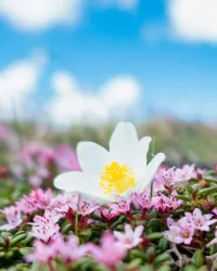 Foto von Axel Strauss