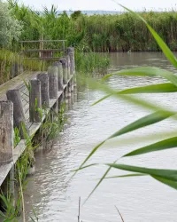 Foto von Gerrit Engbers