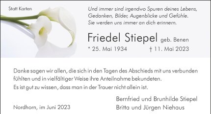 Friedel Stiepel